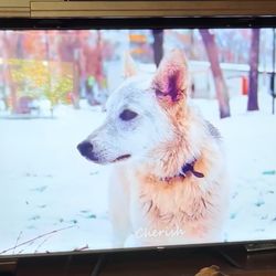 75inch Hisense Non-working Smart TV