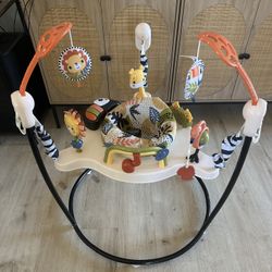 Fisher Price Baby Bouncer
