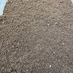 Worm Castings/Vermicompost