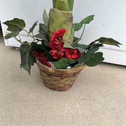 Fake Plant - $12