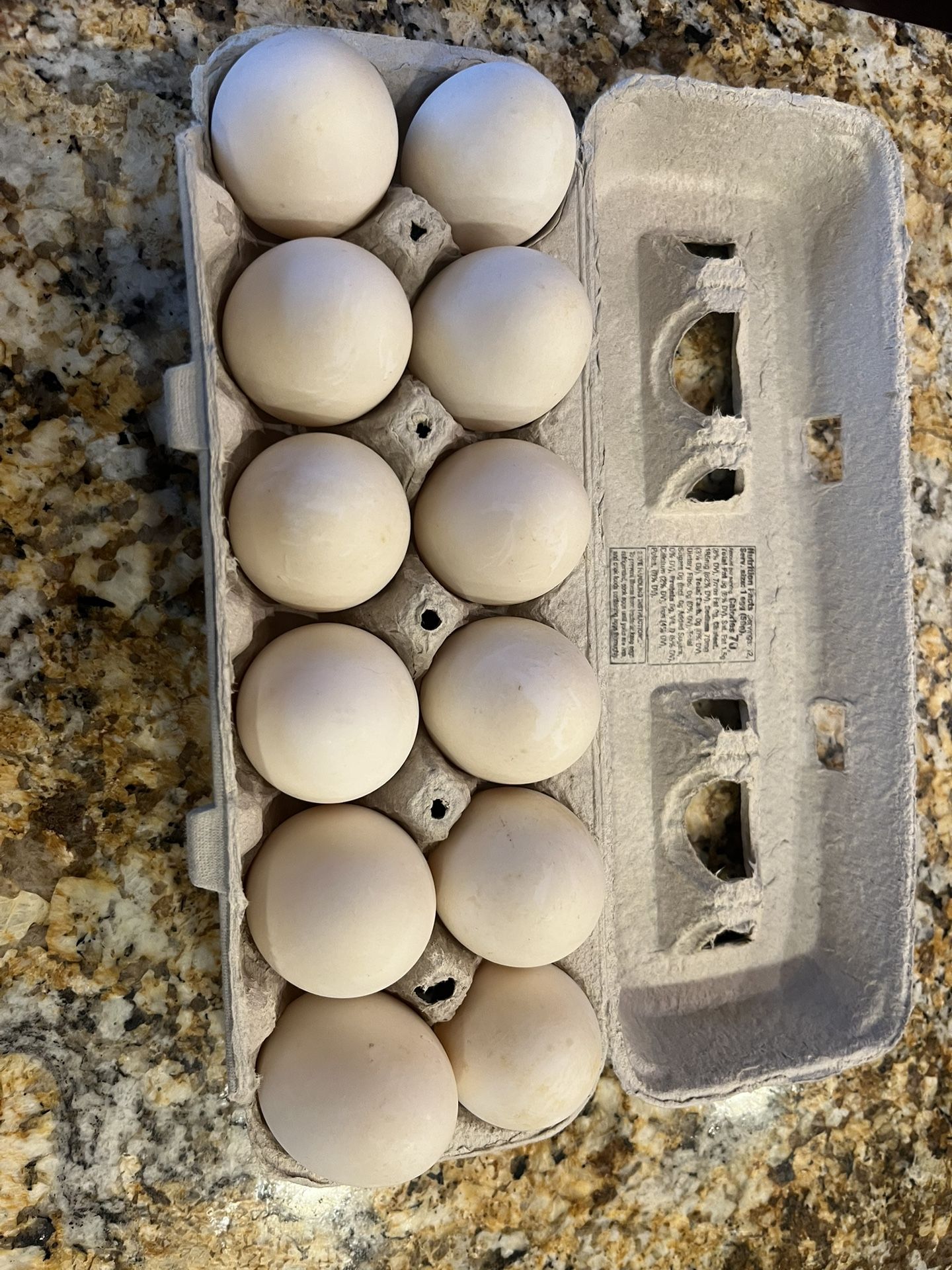 Duck Eggs