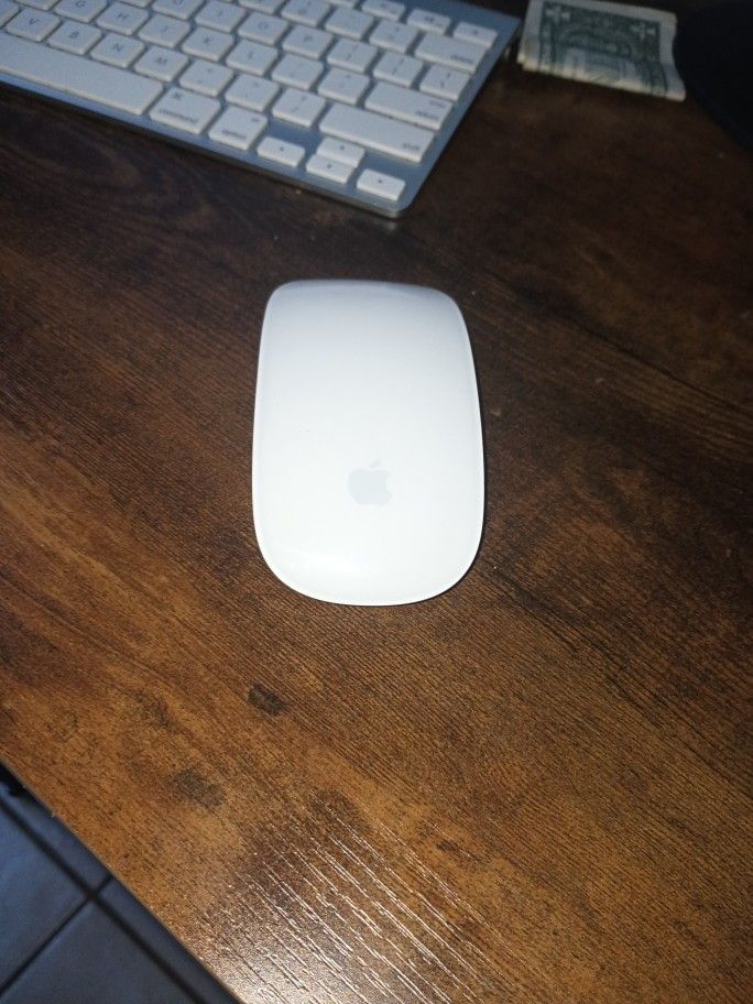 Magic Mouse 2009 From Apple