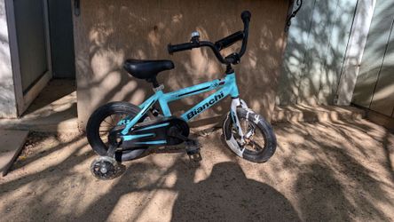 Bianchi X2 - 12in