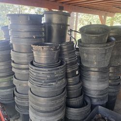 Plant Containers Nursery 
