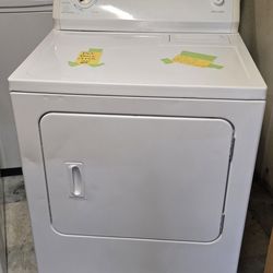 Electric Dryer