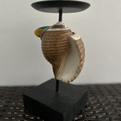 Seashell Candle Holders