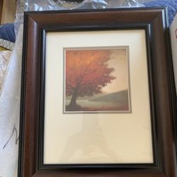 Framed Artwork 