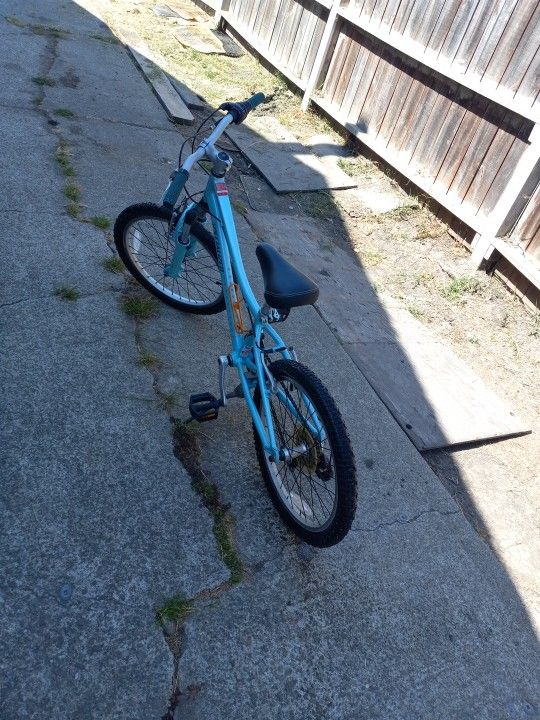 20" BIKE