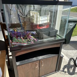 60 Gallon Fish Tank