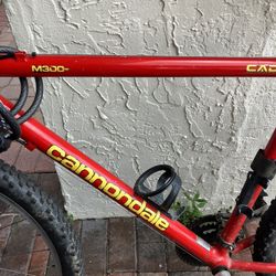Cannondale Mountain Bike 