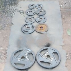 Olympic Weights 115lbs