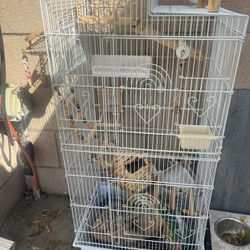 Bird Cage + Extras