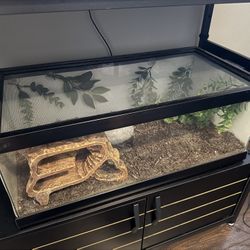 13 gallon reptile tank 