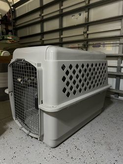 Large Plastic Pet Travel Crate