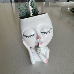 Cute Pot With Donkey Tail Succulent