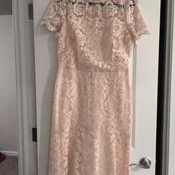 Ralph Lauren Womens Lace Blush Dress 