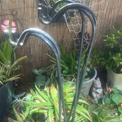 Five Plant’s  holder rode.