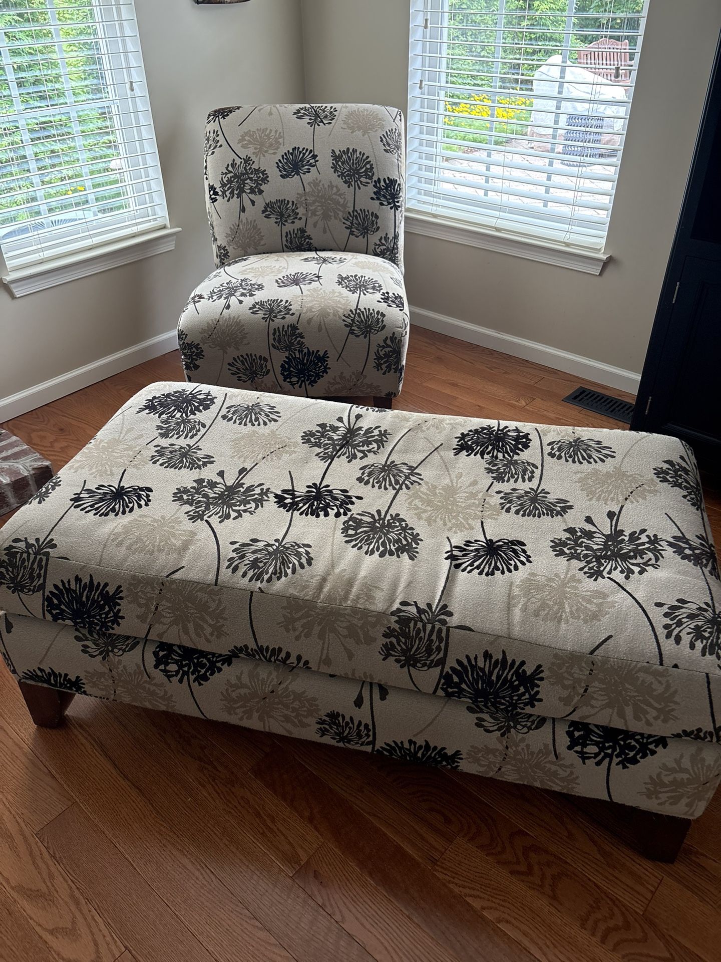Chair And Long Ottoman/coffeetable 