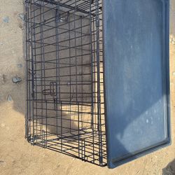 PET Crate