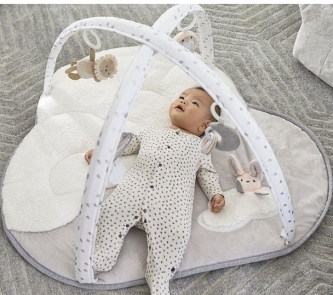 Pottery Barn Kids X Skip Hop Play Mat