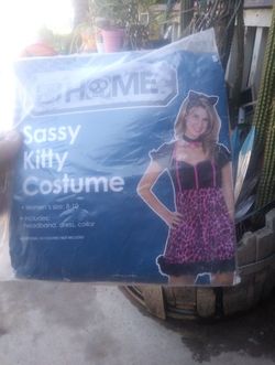 Sassy Kitty Dress Size (8-10)