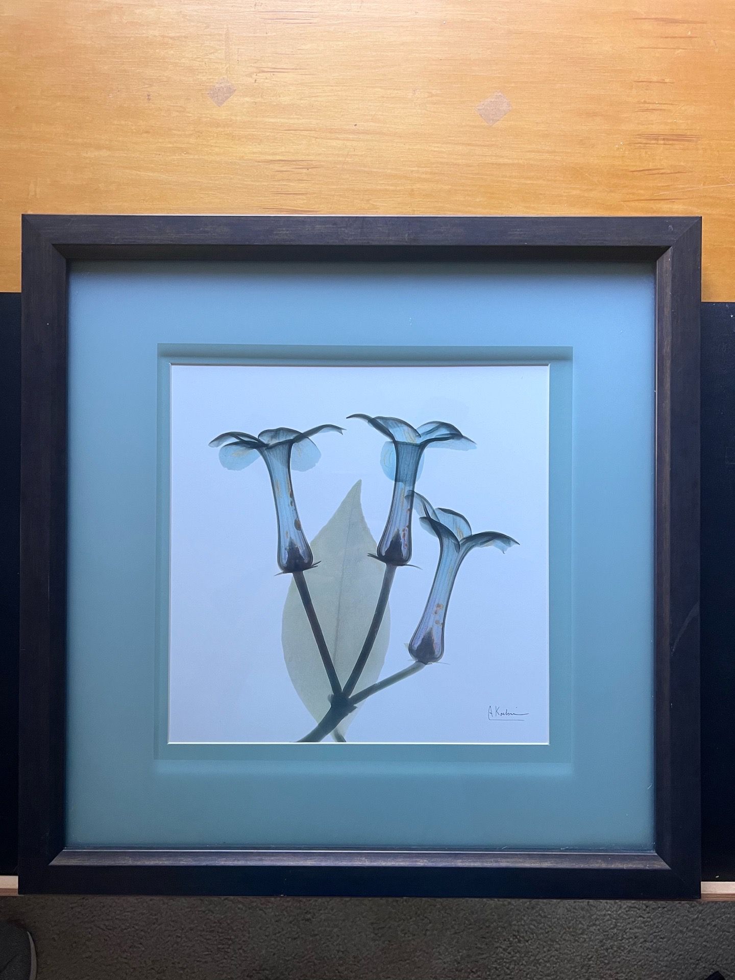 Two Framed Botanical Prints by Koetsier