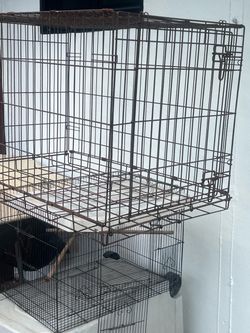 Chicken/Birds Cage