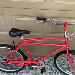 Schwinn Cruiser