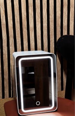 Portable skin and cosmetics mini fridge