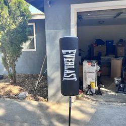 standing punching bag