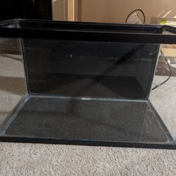 10 Gallon Tank + Everything You Need To Start