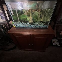 30 Gallon Fish Tank Free