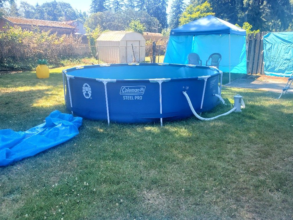 Pool, Ladder, Cover