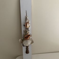 Elongated Shell Wall Decor Art Nautical Beach Cottage