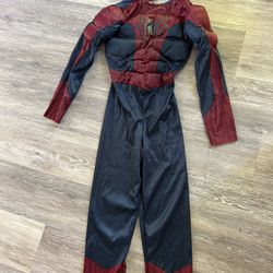 Spider-Man Halloween Costume 