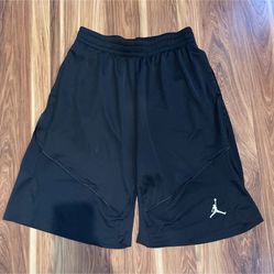 Air Jordan Shorts Men’s Large 