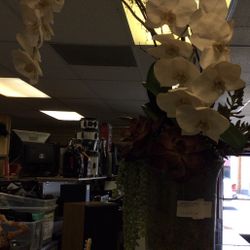 Orchid Arrangement 