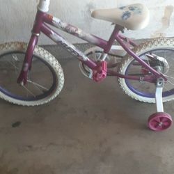 Bike Size 16