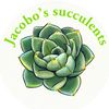 Jacobo’s Succulents 