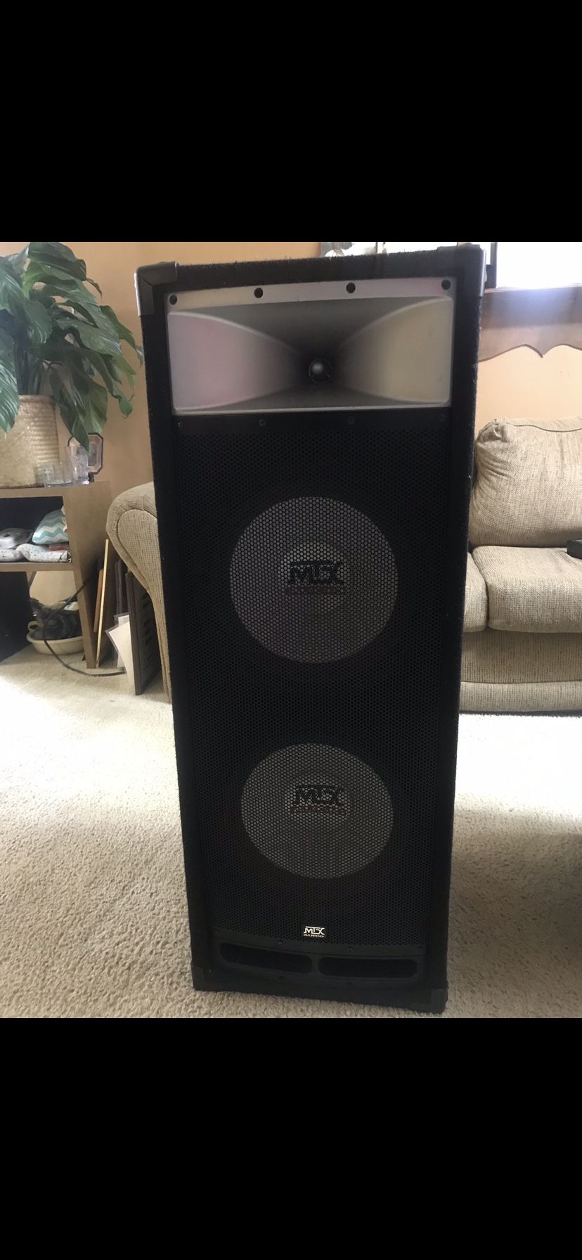 Studio 12” MTX Audio  Floor Speakers 