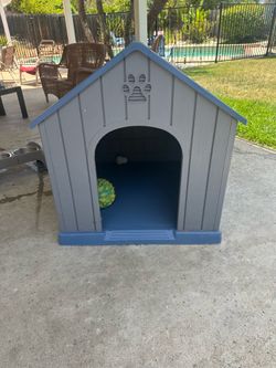 Dog House