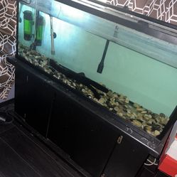 55 Gallon Tank and Stand