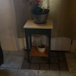 Table And Two Plants 