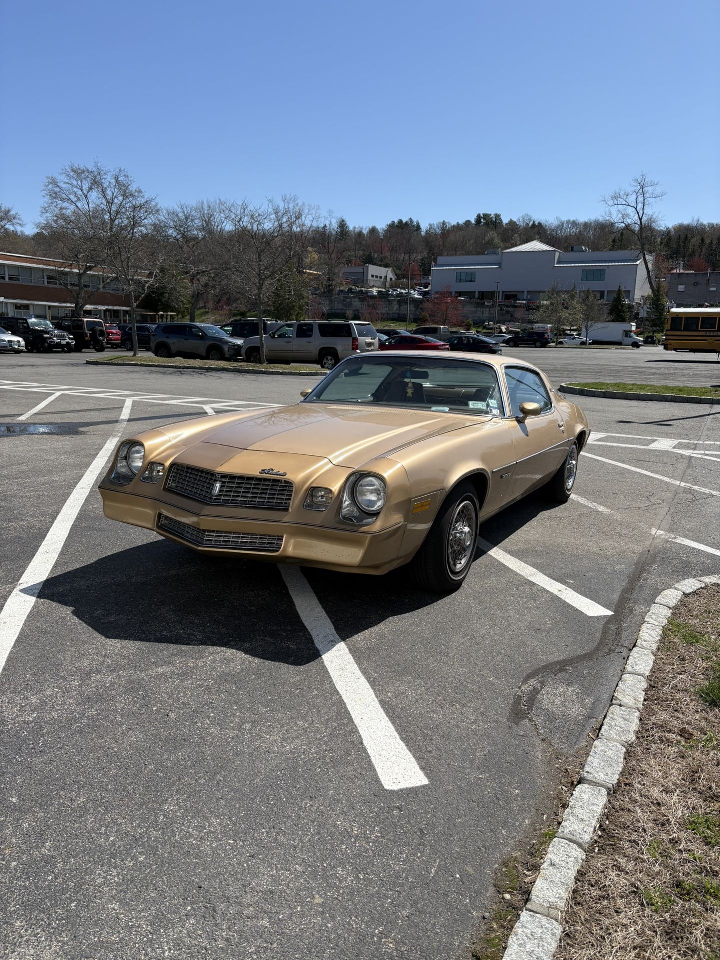 1980 Chevrolet Camaro