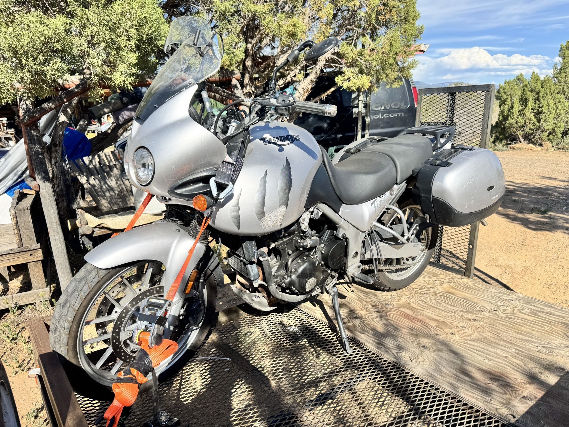 2005 Triumph Tiger 955i
