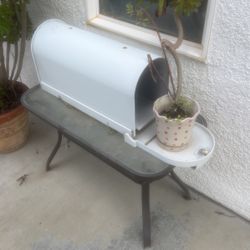 Mailbox Plant 