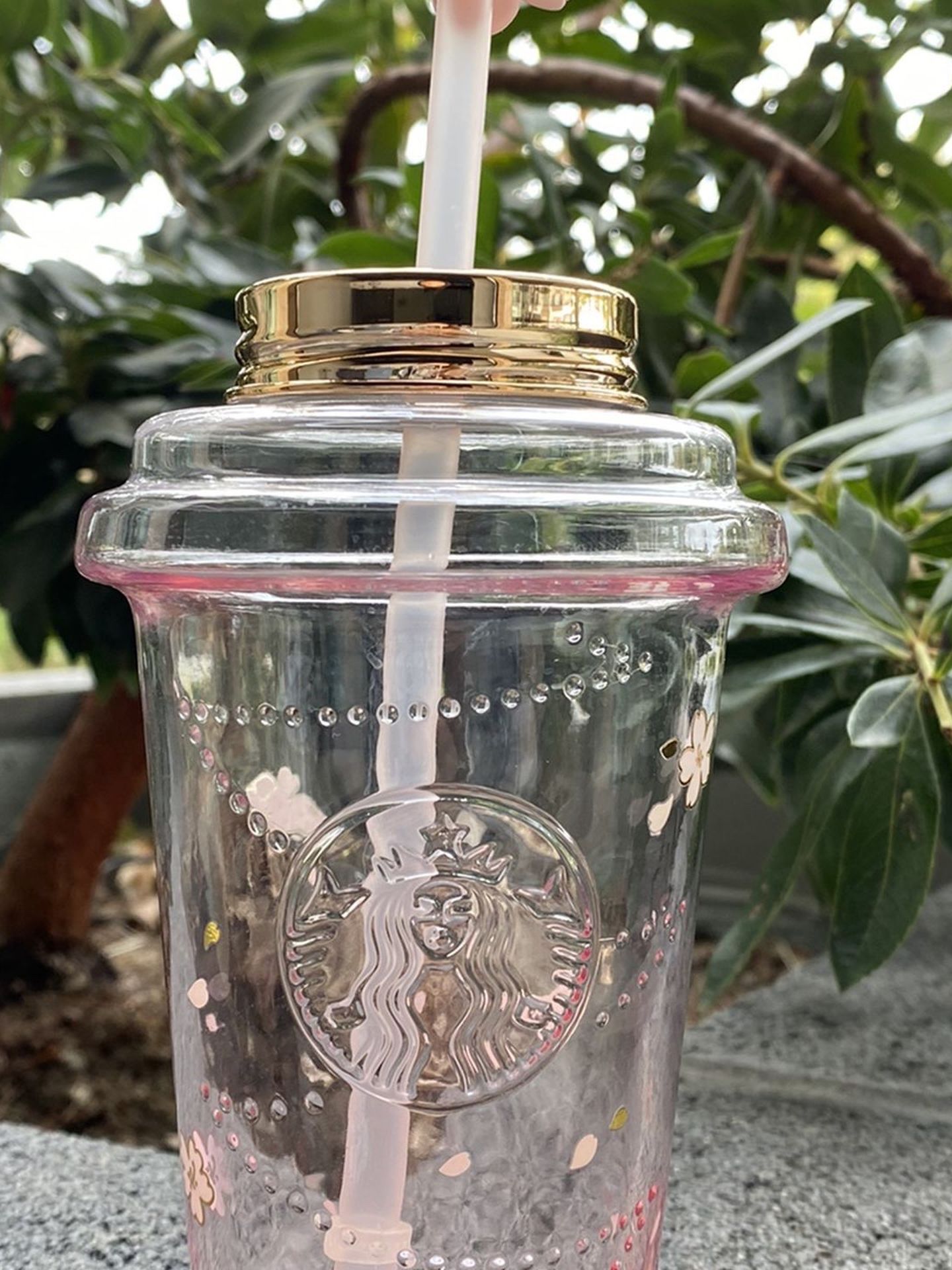 Starbucks 2021 China Sakura Season Flower Pink Gradient 16oz Glass Straw Cup