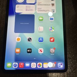 Apple iPad Pro 11-inch (M4) A2836 512 GB, Wi-Fi, 11 in - Silver 98% Battery