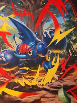mega heracross huston regional matt