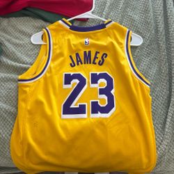 LeBron James Yellow Laker Jersey (Large)